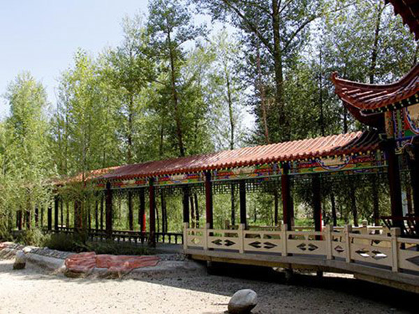 城市園林綠化景觀設(shè)計(jì)和養(yǎng)護(hù)管理