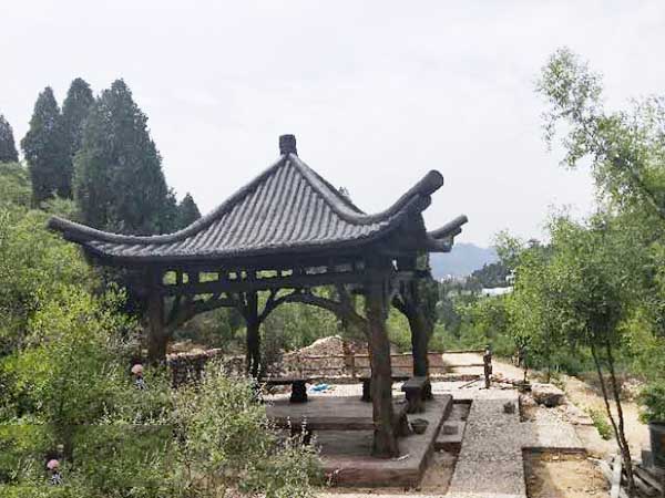 微信圖片_201905140851003.jpg